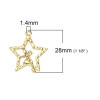 Pendentifs Fées sur Etoile 28 mm métal coloris Doré