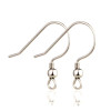 Boucles d'oreille Crochet, Acier Inoxydable 316 finition Argent, placage Ionique