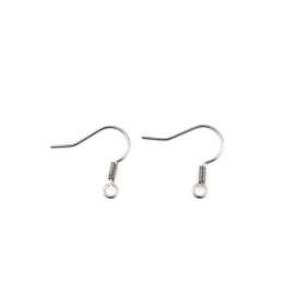 Boucles d'oreille Crochets  Ressort 19mm en Acier Inoxydable
