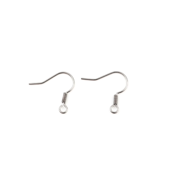Boucles d'oreille Crochets  Ressort 19mm en Acier Inoxydable