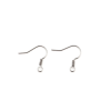 Boucles d'oreille Crochets  Ressort 19mm en Acier Inoxydable