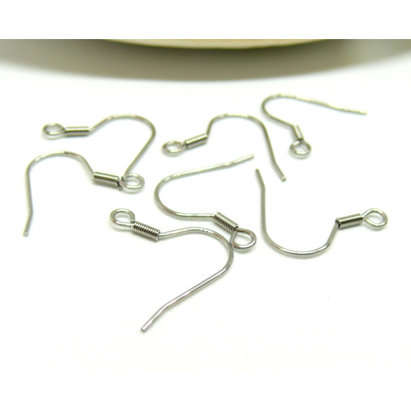 Boucles d'oreille Crochets  Ressort 19mm en Acier Inoxydable