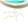 Boucles d'oreille Crochet Acier Inoxydable  finition Doré Placage Ionique