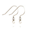 HT03117S PAX 20 Boucles d'oreille Crochets 20 mm ACIER INOXYDABLE 304  Finition Argent Vif