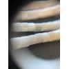 Perles de nacre véritable Blanc Crème Rondelles 3  par 3.5mm