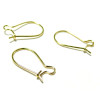 Boucles d'oreille - Dormeuses 19 par 9 mm -  Laiton - Plaqué Or 18KT
