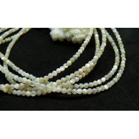 Perles Rondes 2mm en Nacre Beige