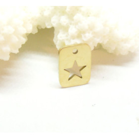 Pendentif Etoile dans rectangle 13mm en Acier Inoxydable finition 18KT