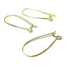 Boucles d’oreilles dormeuses 25 x 12 mm – Acier inoxydable 316  Doré  à l'or fin 18K
