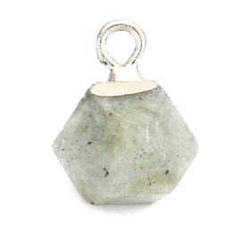 Pendentif  forme octogonale Spectrolite 13 par 10mm métal Argenté