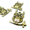 Pendentifs  breloque Hibou, chouette laiton finition Bronze