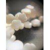 Perles nacre forme Fleur 6 mm coloris Blanc