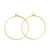 Boucles d'oreille Créoles Tiges 45mm en Acier Inoxydable 316